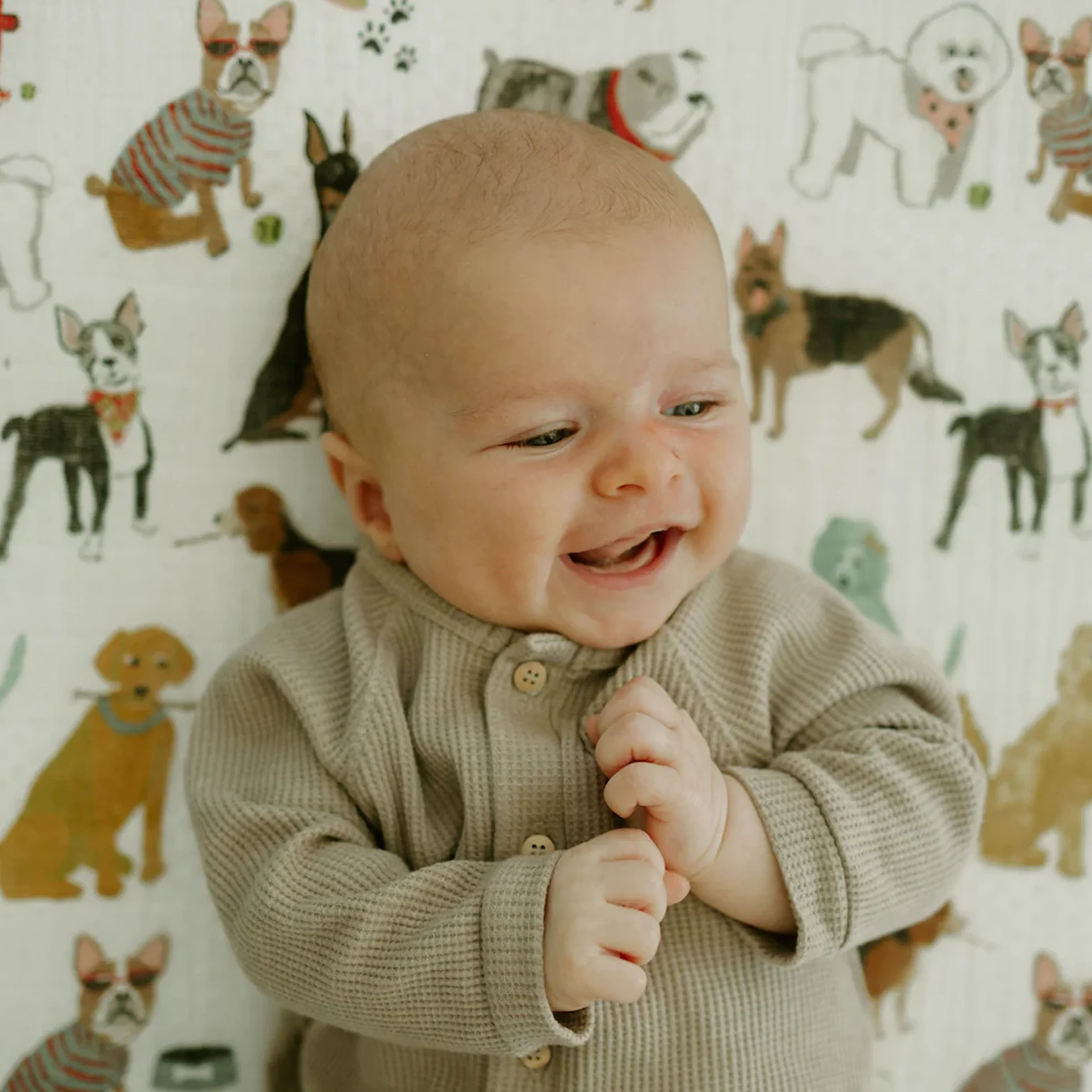 Cotton Muslin Crib Sheet - Woof - Image 7