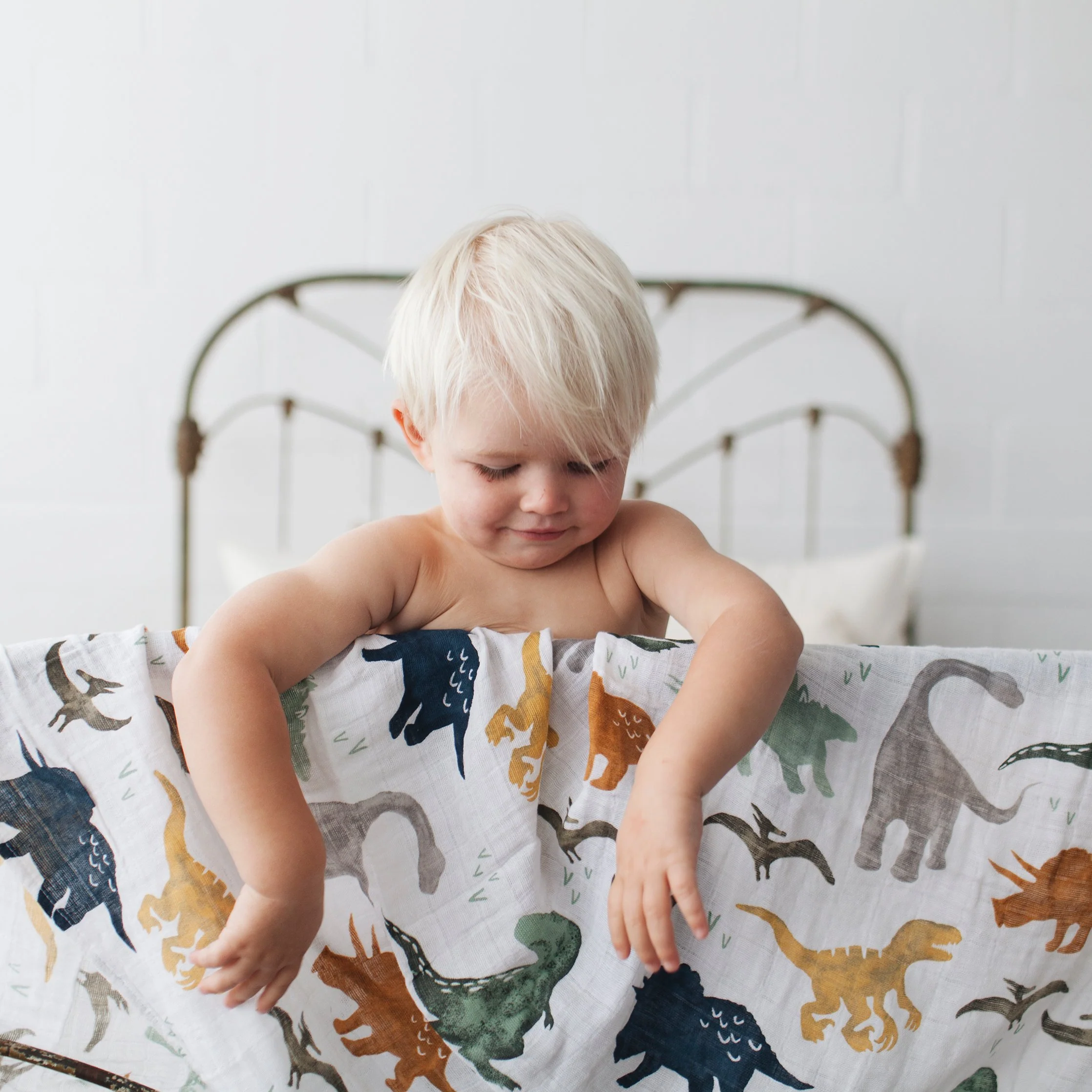 Cotton Muslin Swaddle Blanket - Dino Friends - Image 8