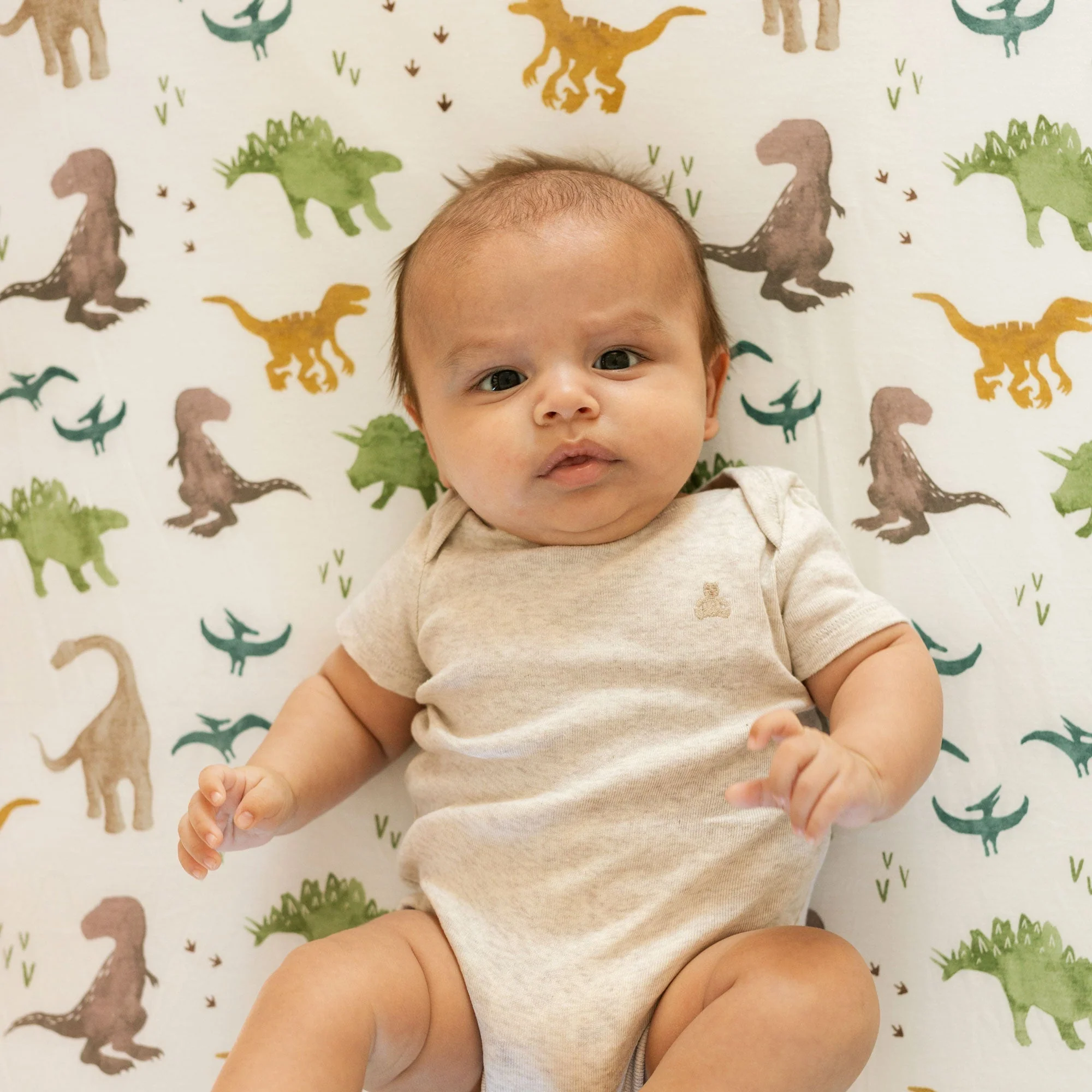 Stretch Knit Crib Sheet - Dino Pals - Image 3